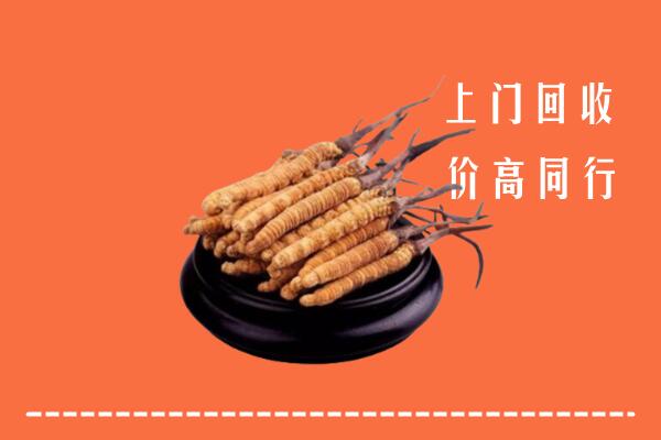 高价求购：乐山回收散虫草