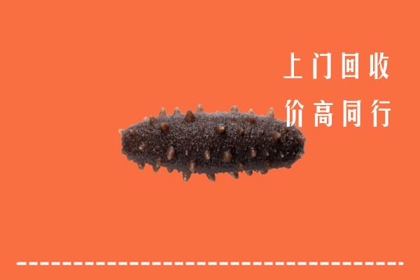 高价求购：乐山回收海参