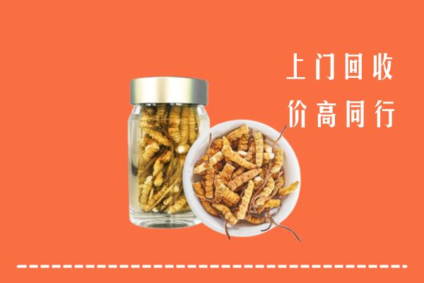 乐山回收冬虫夏草