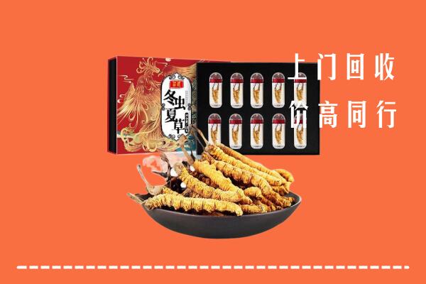 乐山回收虫草